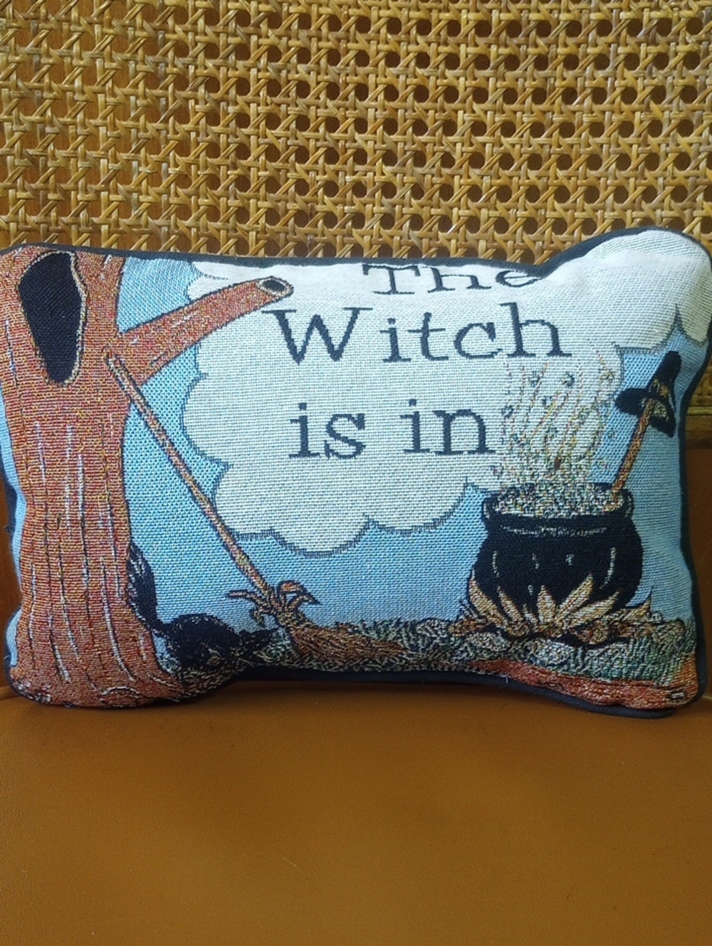Funny Halloween Vintage Tapestry Toss Pillow. The Witch is In